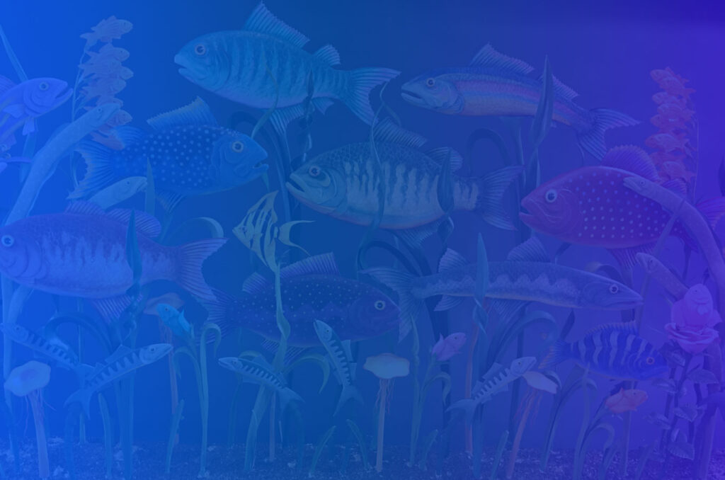 grashow-fish-artwork