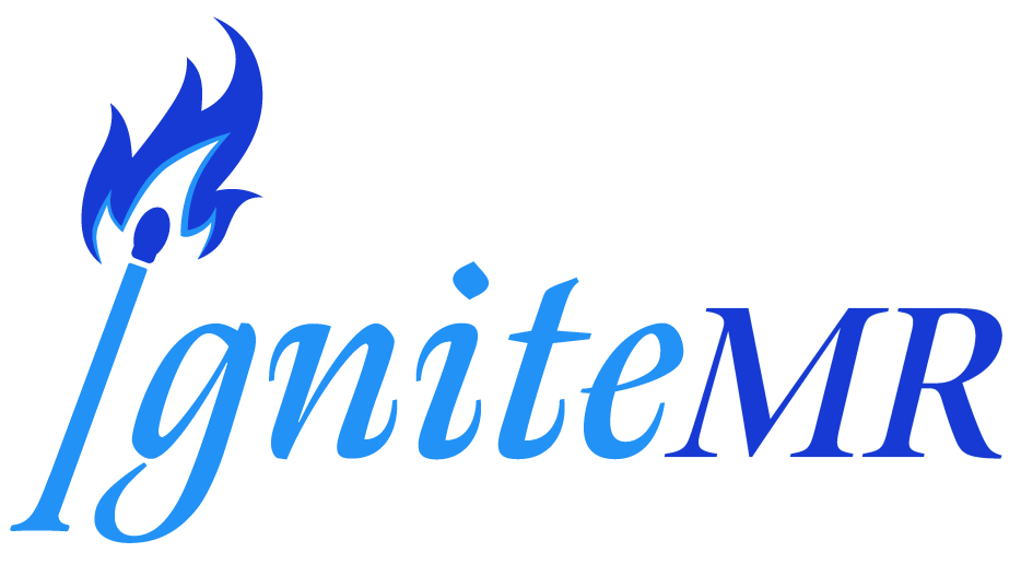 ignite-MR Market Research company logo