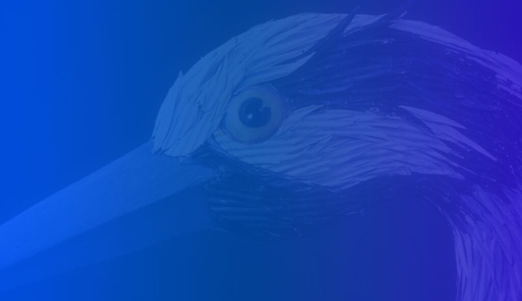 zach-grashow-james-artwork-bird